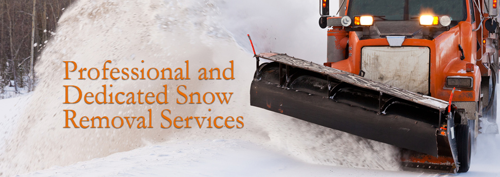 Professional and dedicated snow removal services